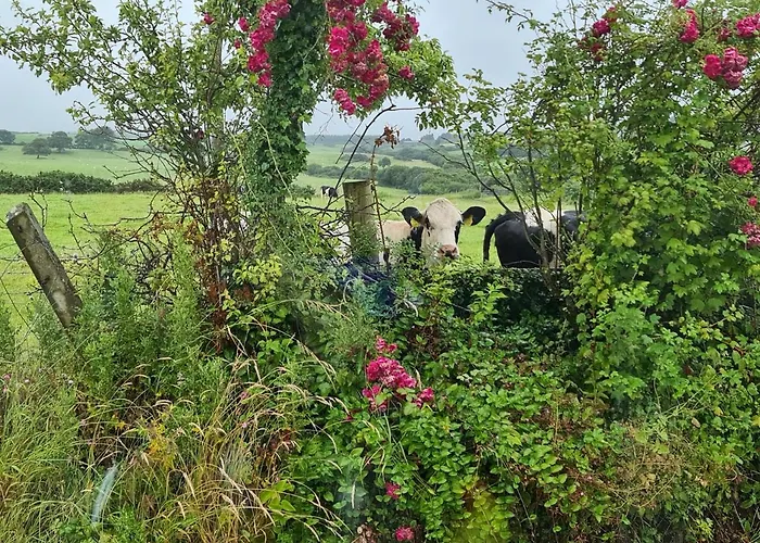 別荘 Annie's House With Thermal Health